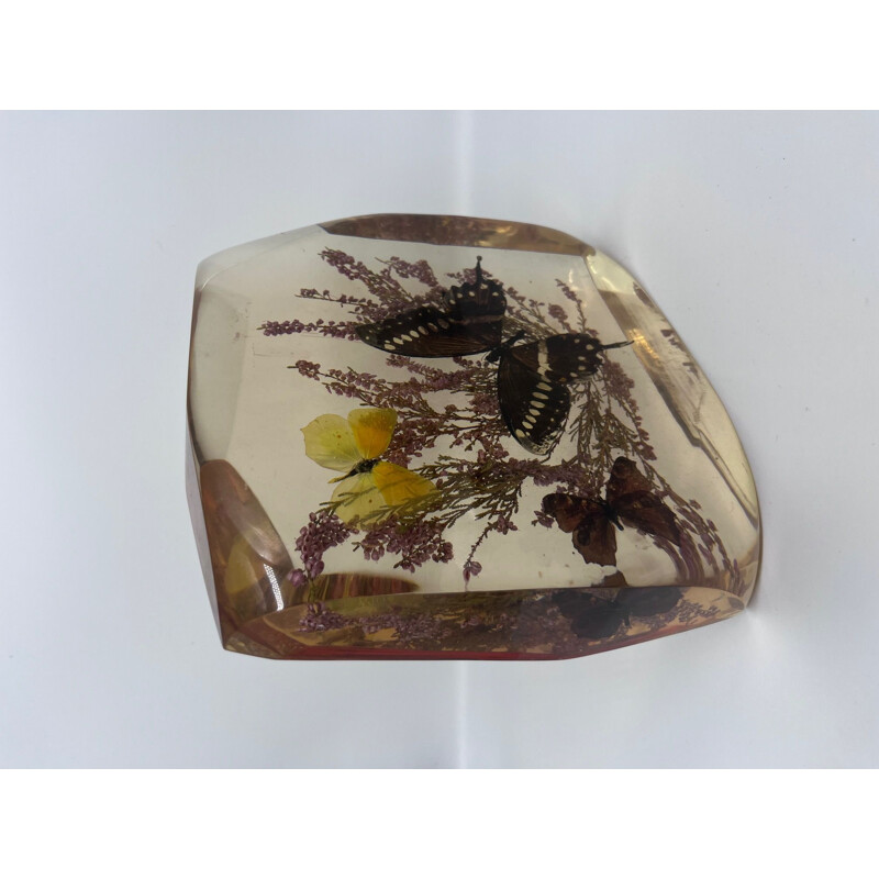 Vintage resin block with naturalized butterflies, 1970