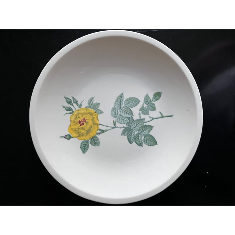 Juego de 10 platos de porcelana Gien vintage, 1950