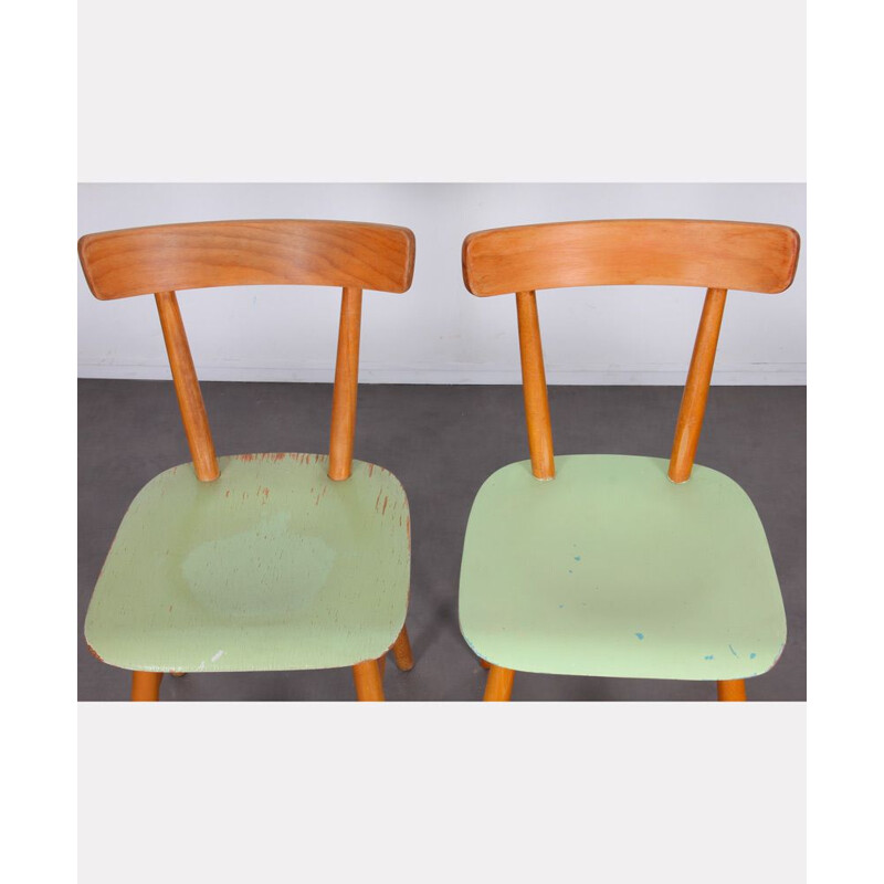 Set of 4 vintage green chairs by Ton, 1960