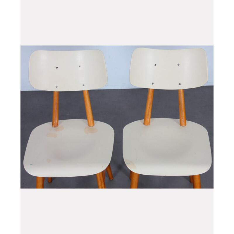 Set of 4 vintage wooden chairs by Ton, 1960