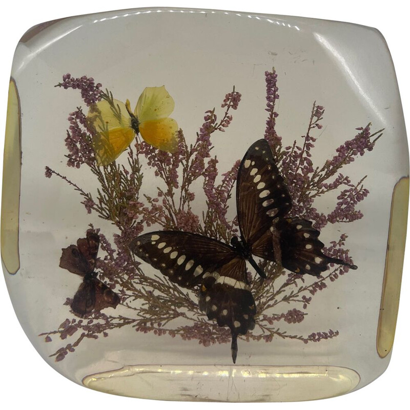 Vintage resin block with naturalized butterflies, 1970