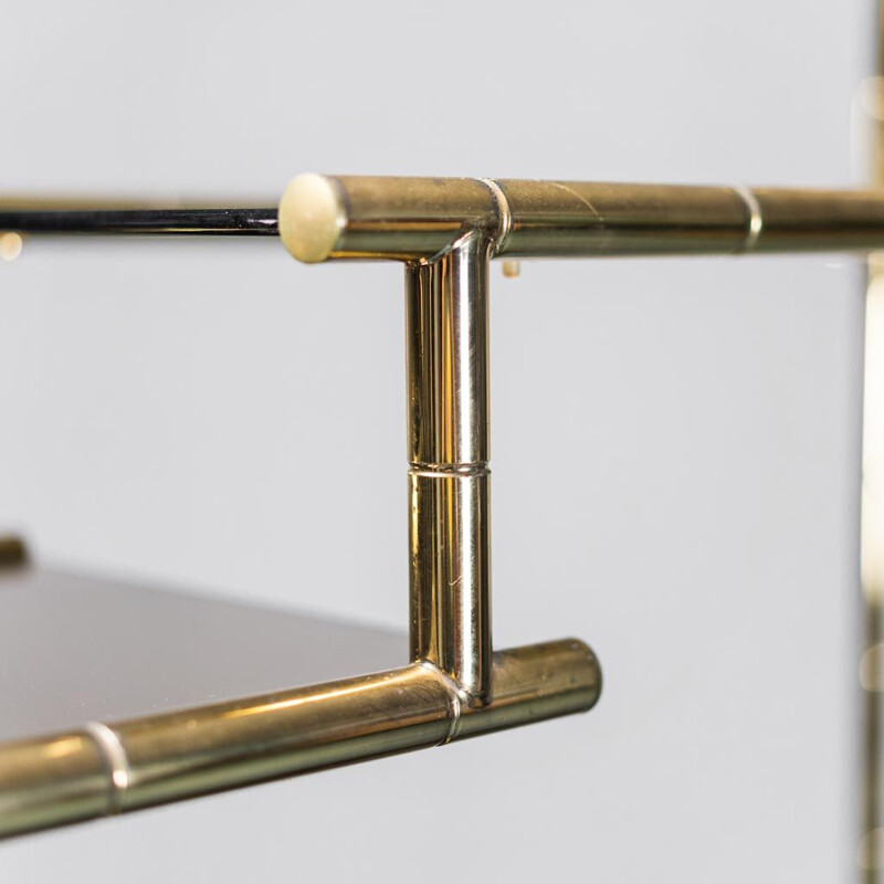 Vintage gilded metal bookcase with smoked glass, 1970