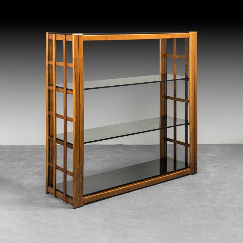 Vintage smoked glass and wood bookcase, 1970s 