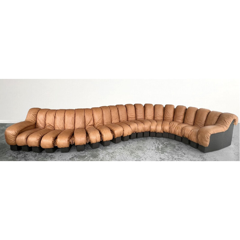 Mid-century DS-600 sofa by Eleanore Peduzzi, Veli Berger, Klaus Vogt and Riva Heinz Ulrich for De Sede, 1972