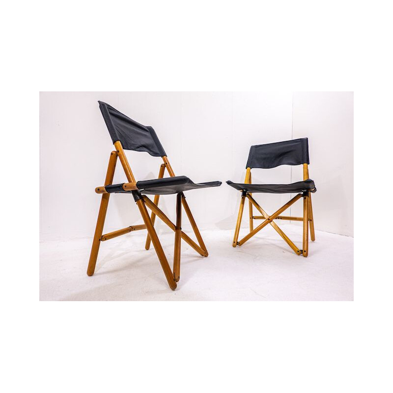 Pair of vintage folding chairs by Sergio Asti for Zanotta, Italy 1969