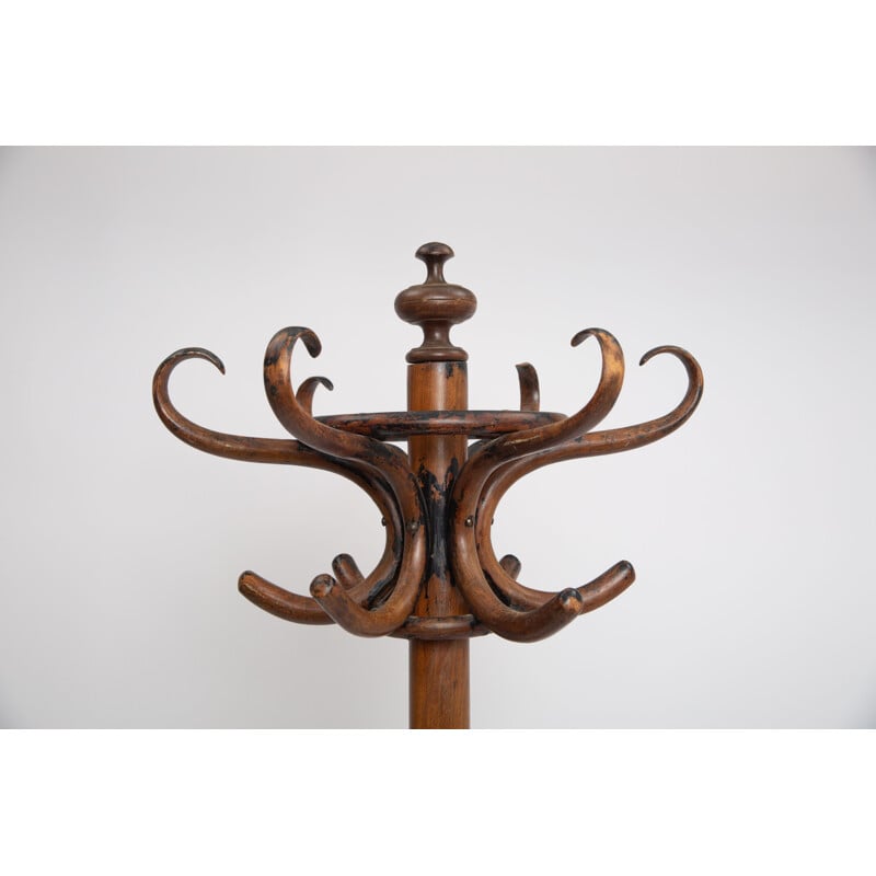 Vintage bentwood parrot coat rack by Thonet, 1900