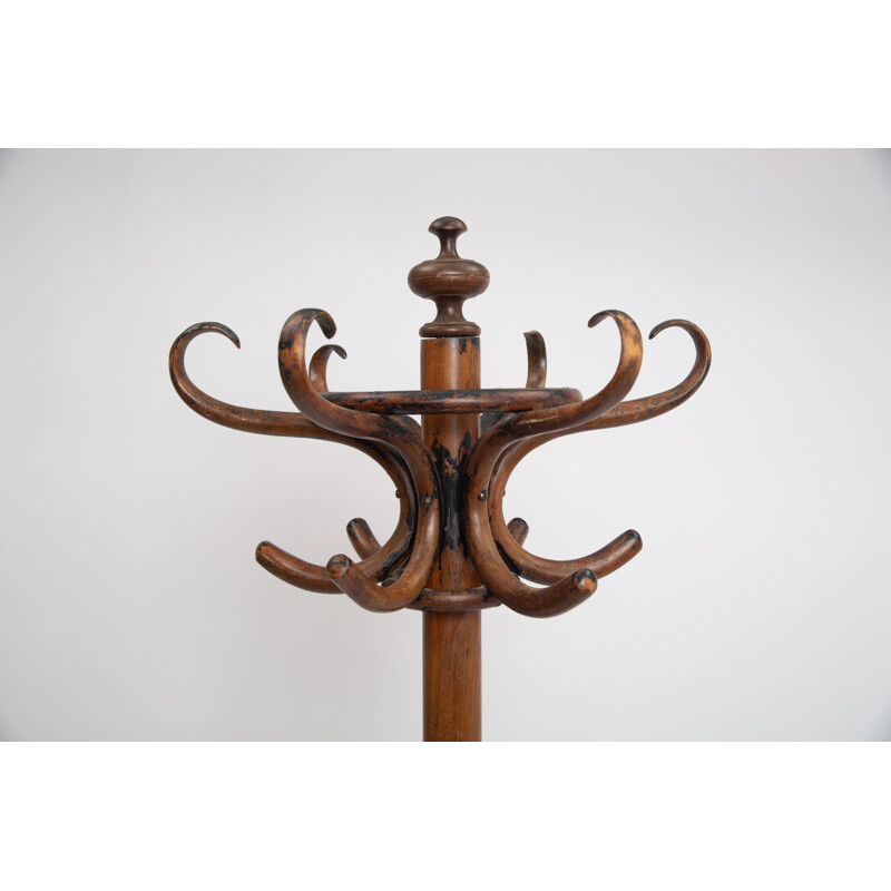 Vintage bentwood parrot coat rack by Thonet, 1900