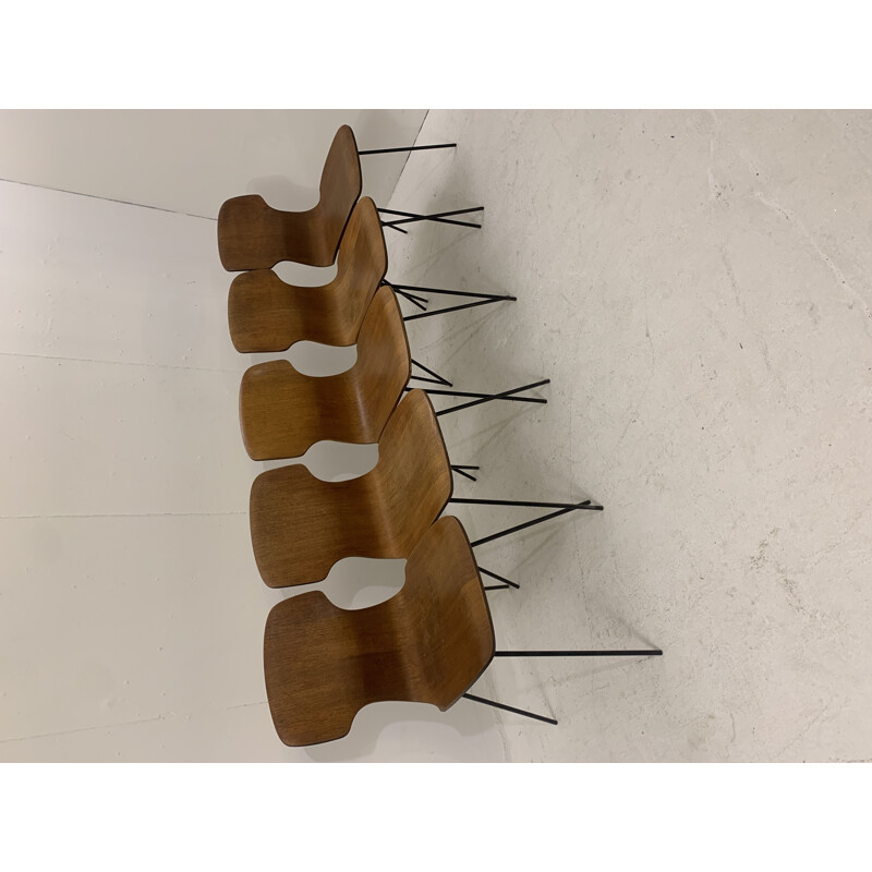 Set of 6 vintage chairs by Carlo Ratti