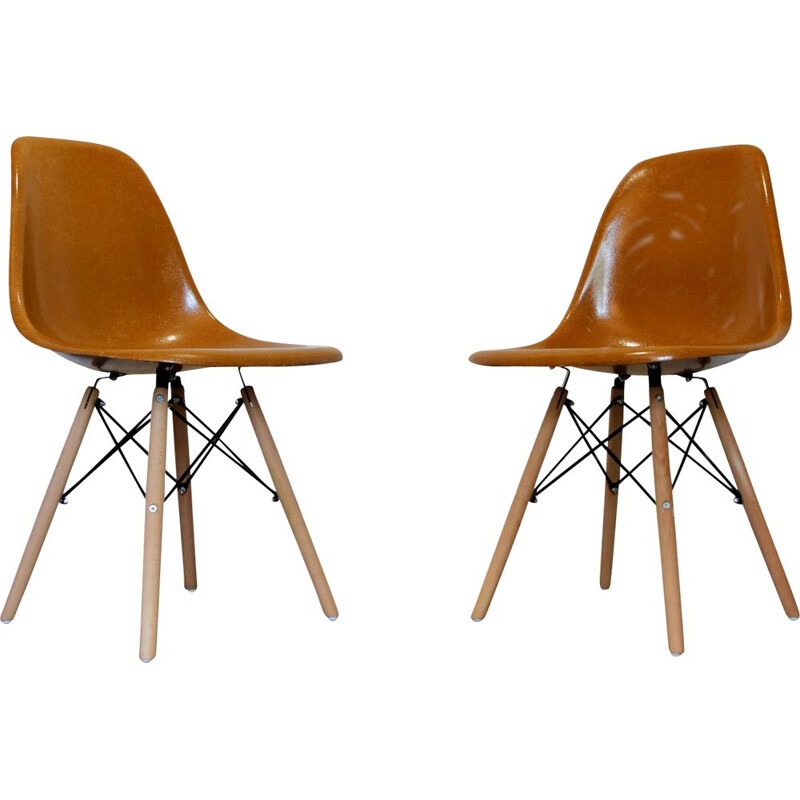 Coppia di sedie Dsw vintage di Charles e Ray Eames per Herman Miller, 1960