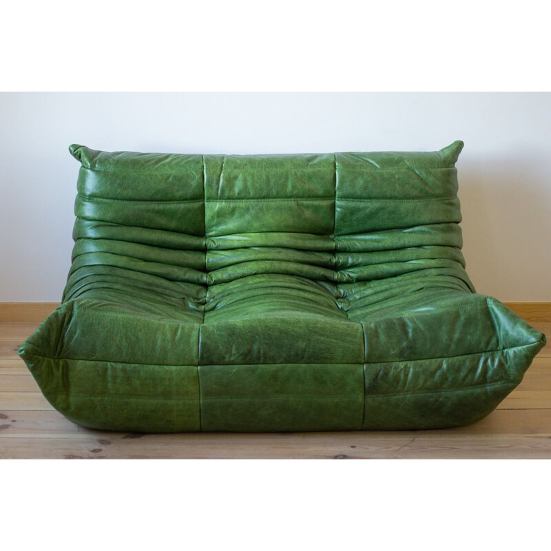 mooi zo gaan beslissen klep Togo vintage sofa in Dubai groen leer van Michel Ducaroy voor Ligne Roset