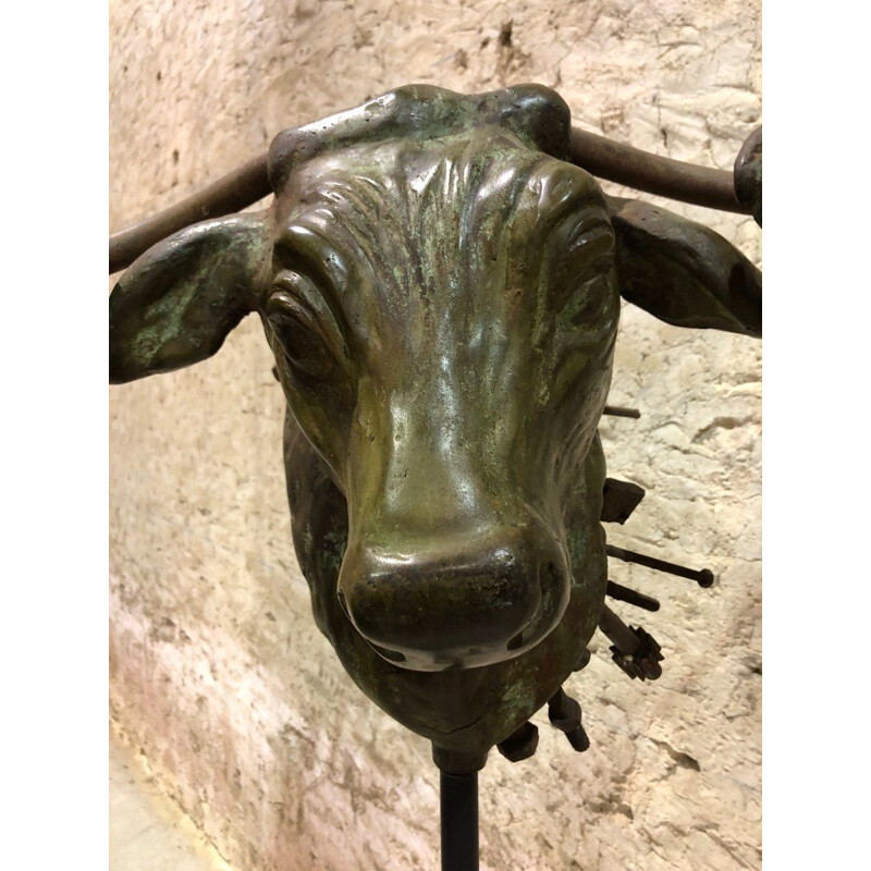 Testa di toro in terracotta vintage "Taureau-Manie" di Dom's Acconciaioco