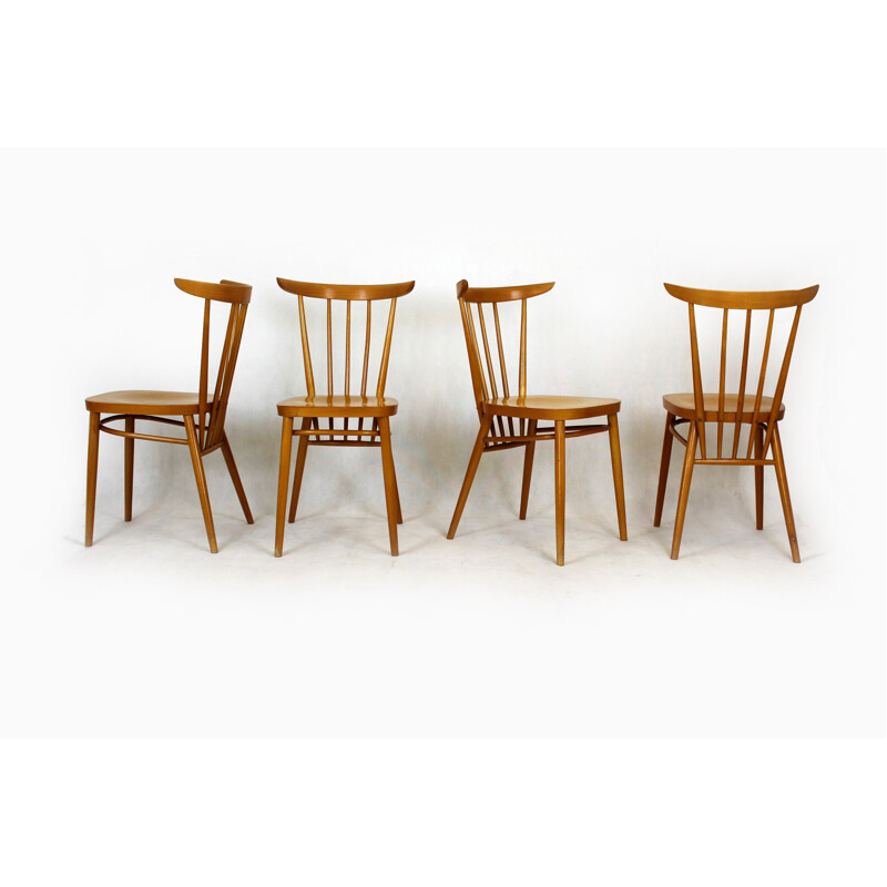Ensemble de 4 chaises vintage en bois de hêtre par Zapadoslovenske Nabytkove Zavody, Tchécoslovaquie 1962