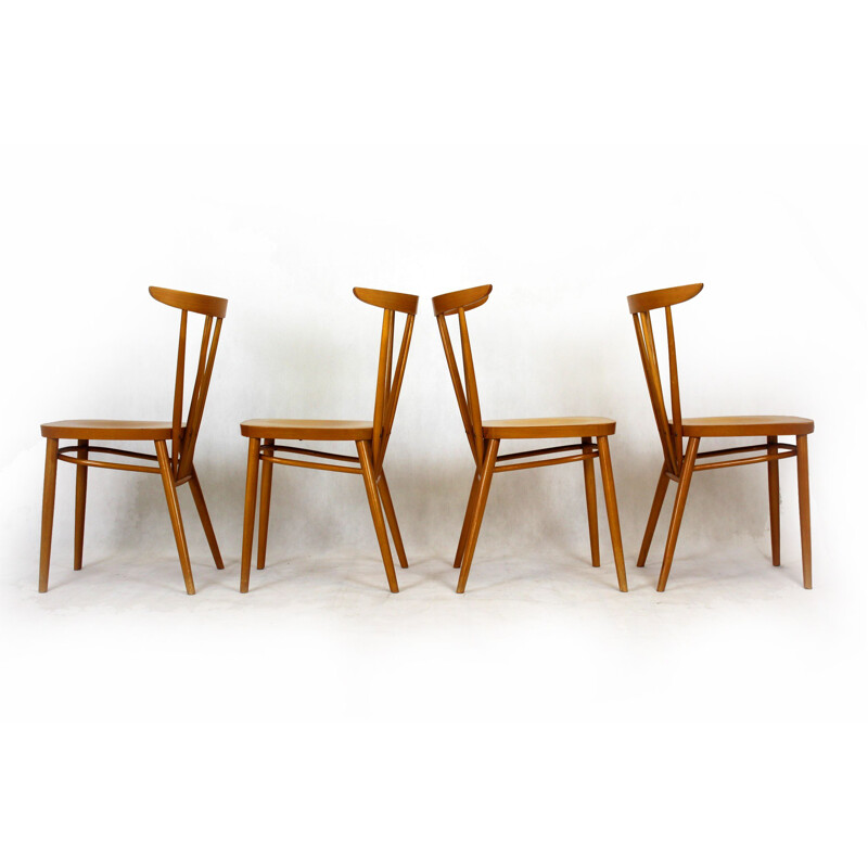 Ensemble de 4 chaises vintage en bois de hêtre par Zapadoslovenske Nabytkove Zavody, Tchécoslovaquie 1962