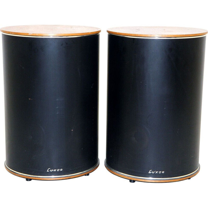 Pair of vintage teak speakers by Luxor Industri Ab, Sweden 1960