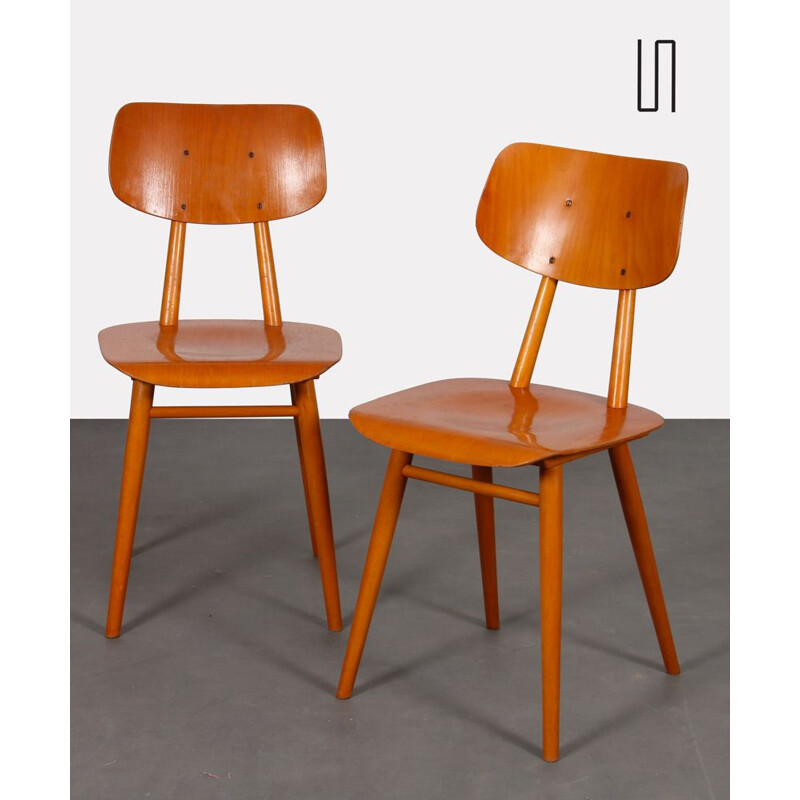 Pair of vintage wooden chairs by Ton, 1960