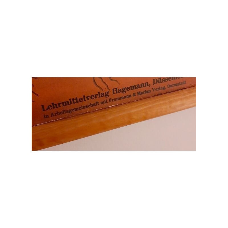 Tablero de madera para ovejas de Lehrmittelverlag Hagemann, 1960