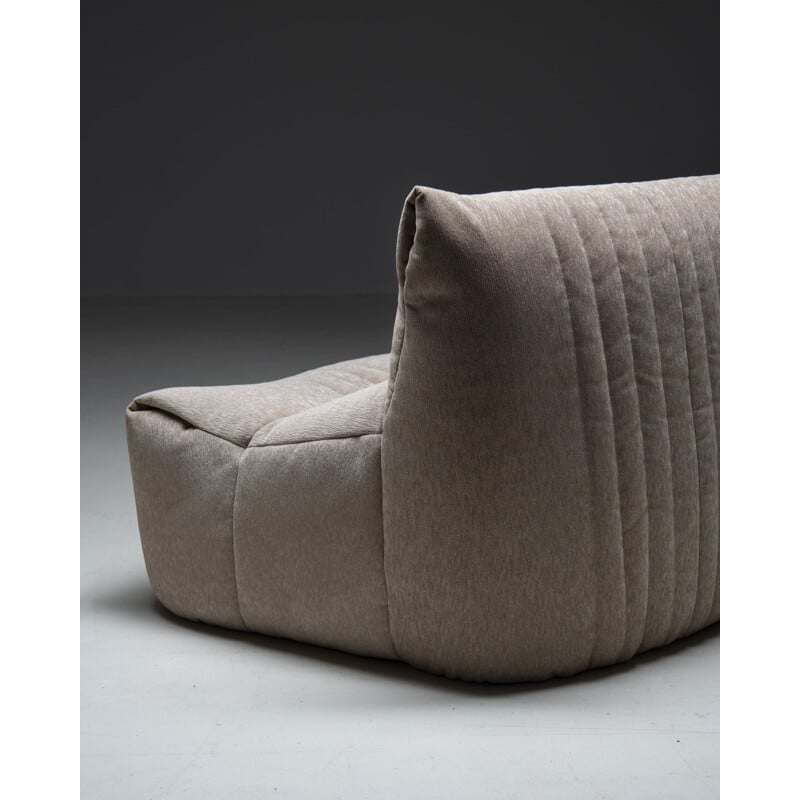 Ensemble de salon vintage "Aralia" par Michel Ducaroy pour Ligne Roset, 1970