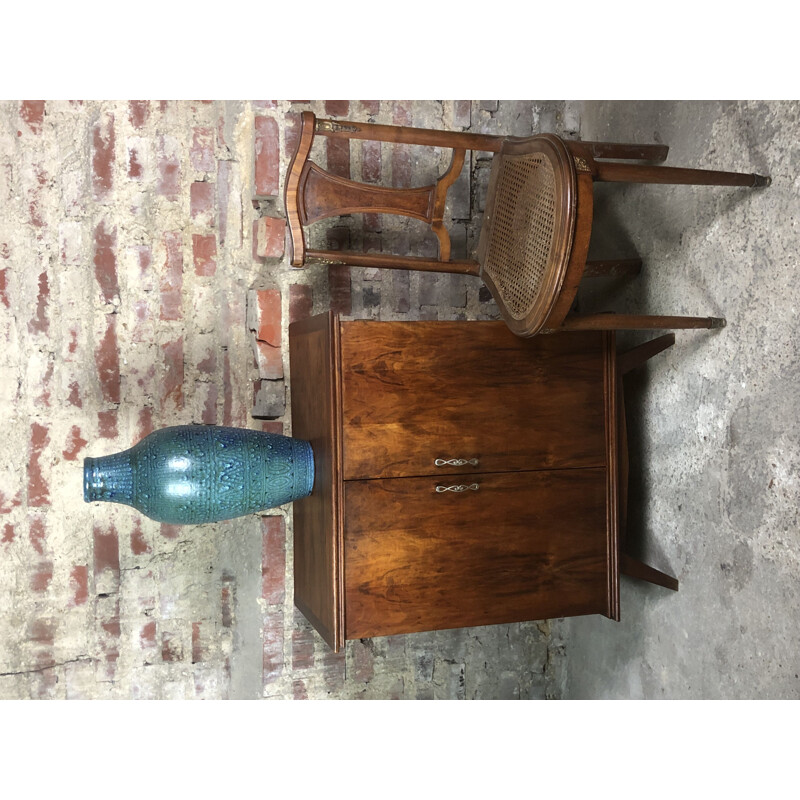 Vintage walnut veneer storage cabinet, 1950