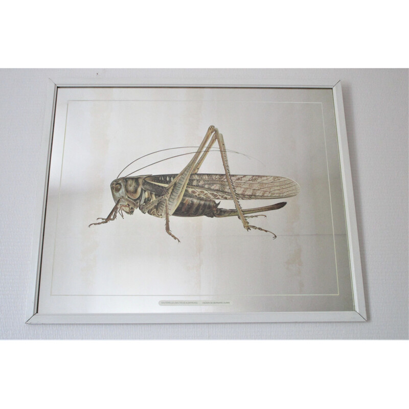 Vintage Grasshopper spiegel naar Bernard Durin, 1970