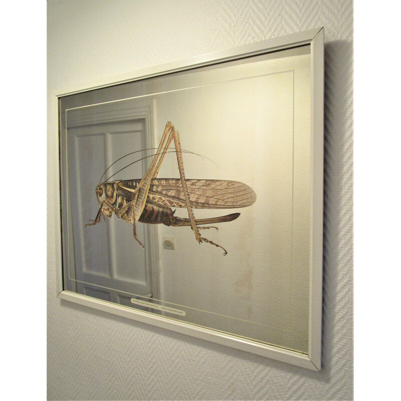 Vintage mirror with Grasshopper design after Bernard Durin, 1970