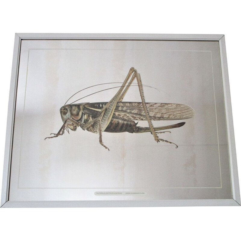 Espelho Vintage Grasshopper depois de Bernard Durin, 1970