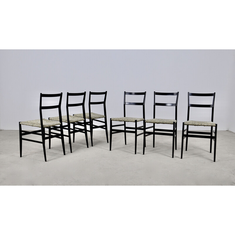 Conjunto de 6 sillas Superleggera vintage de Gio Ponti para Cassina, 1950