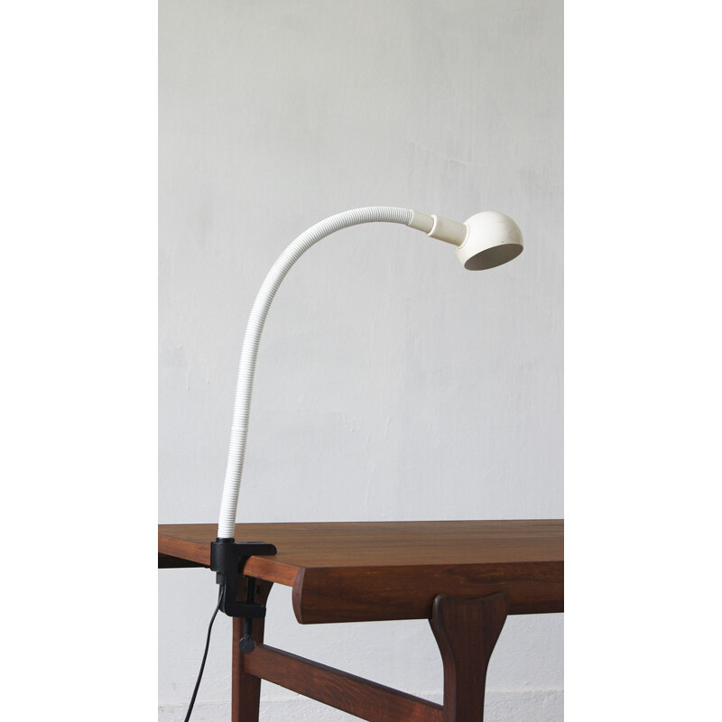 Vintage flexible lamp Hebi by Isao Hosoe for Valenti, 1970