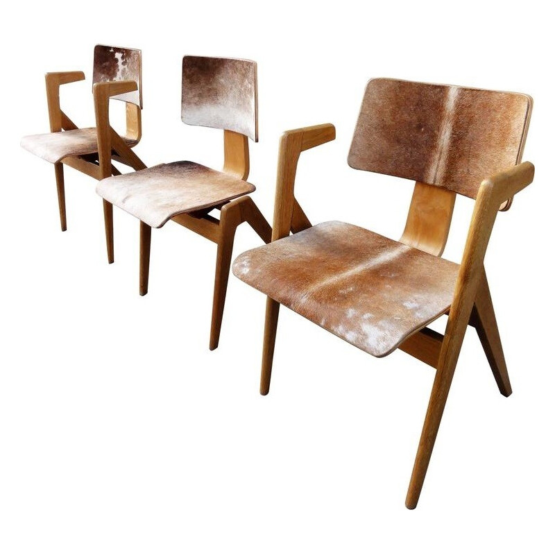 Set of 3 Hille & Co "Hillestak chairs in ash and foal skin, Robin DAY - 1950s