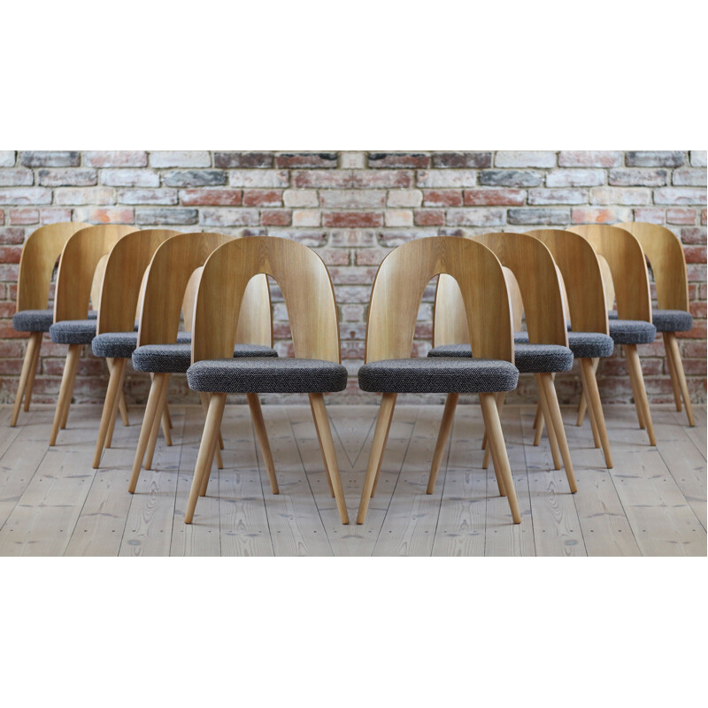 Set of 10 mid century dining chairs by A.Šuman, 1960s