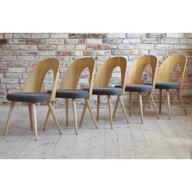 Set of 10 mid century dining chairs by A.Šuman, 1960s