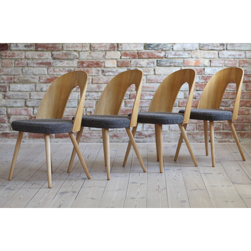 Set of 10 mid century dining chairs by A.Šuman, 1960s