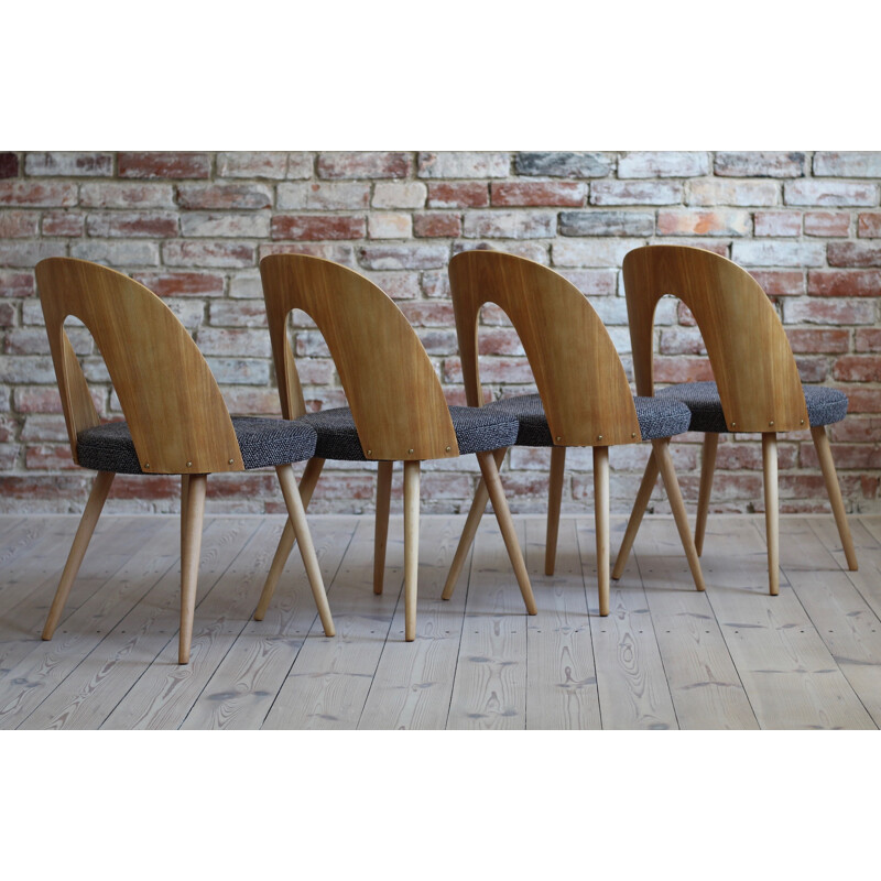 Set of 10 mid century dining chairs by A.Šuman, 1960s