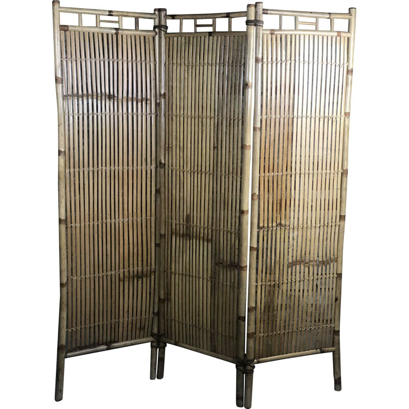 Vintage screen in rattan and bamboo, 1960