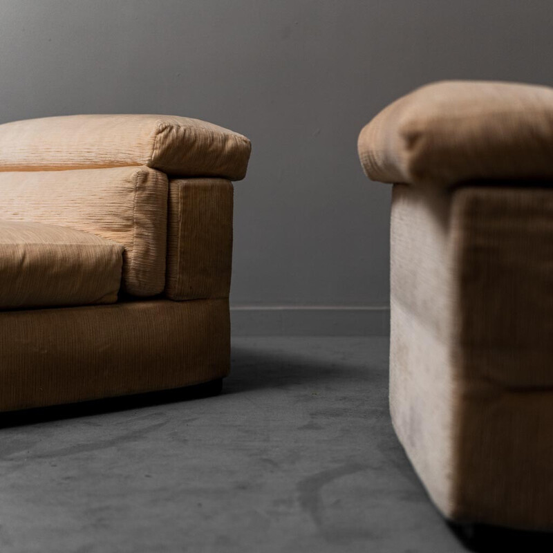Vintage Erasmo armchair by Afra Bianchi and Tobia Scarpa for B and B, 1970s