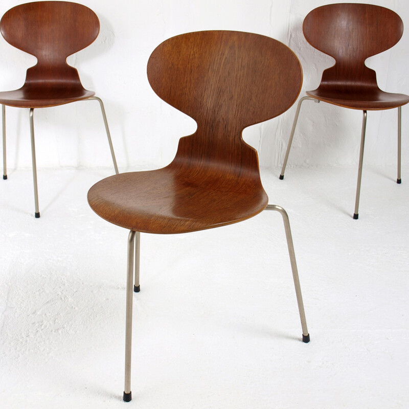 Ensemble de 3 chaises "Fourmi 3100" Fritz Hansen, Arne JACOBSEN - 1950