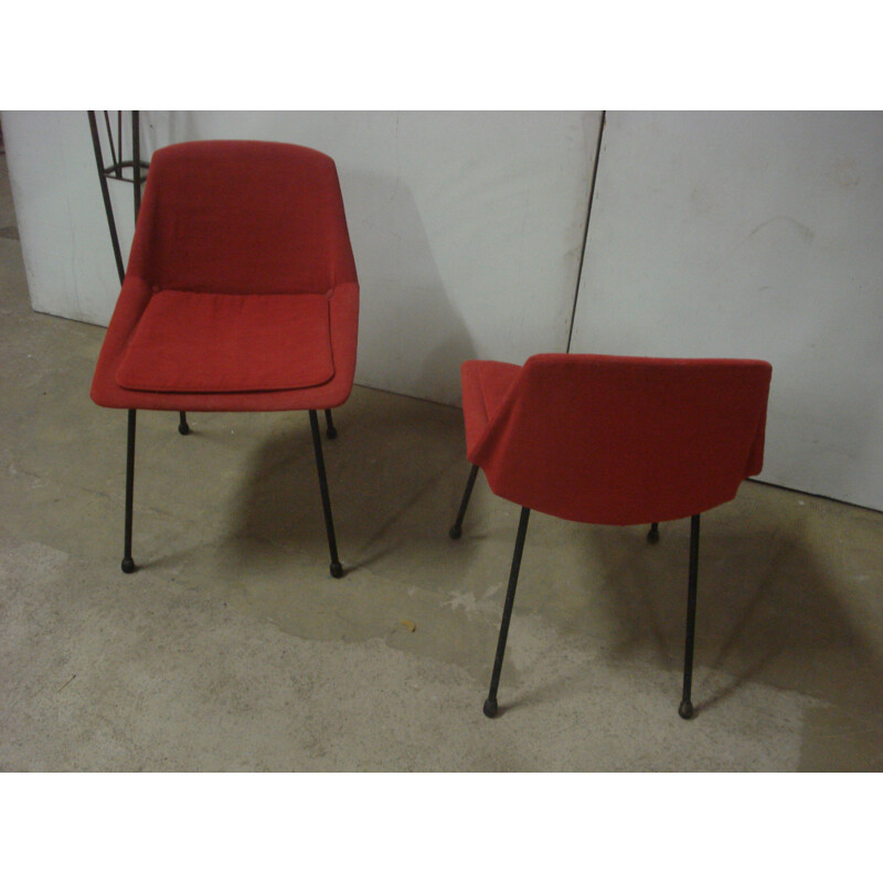 Italian pair of chairs - 1950s