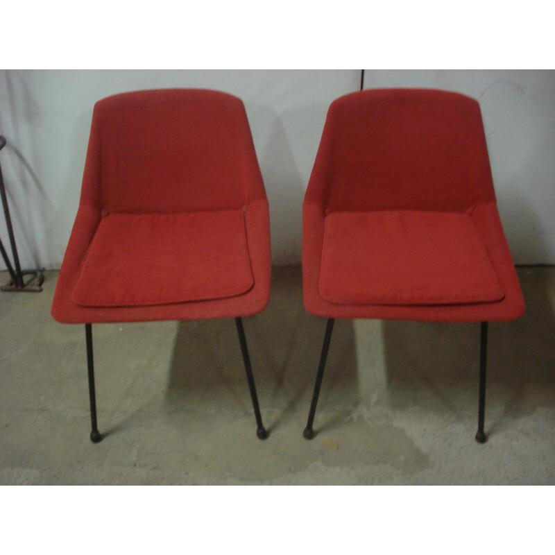 Italian pair of chairs - 1950s