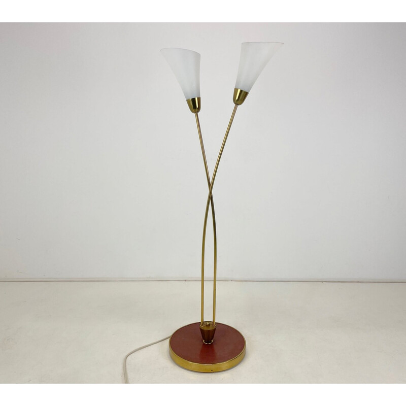 Mid century Art deco brass with patina and opaline glass floor lamp, 1930s