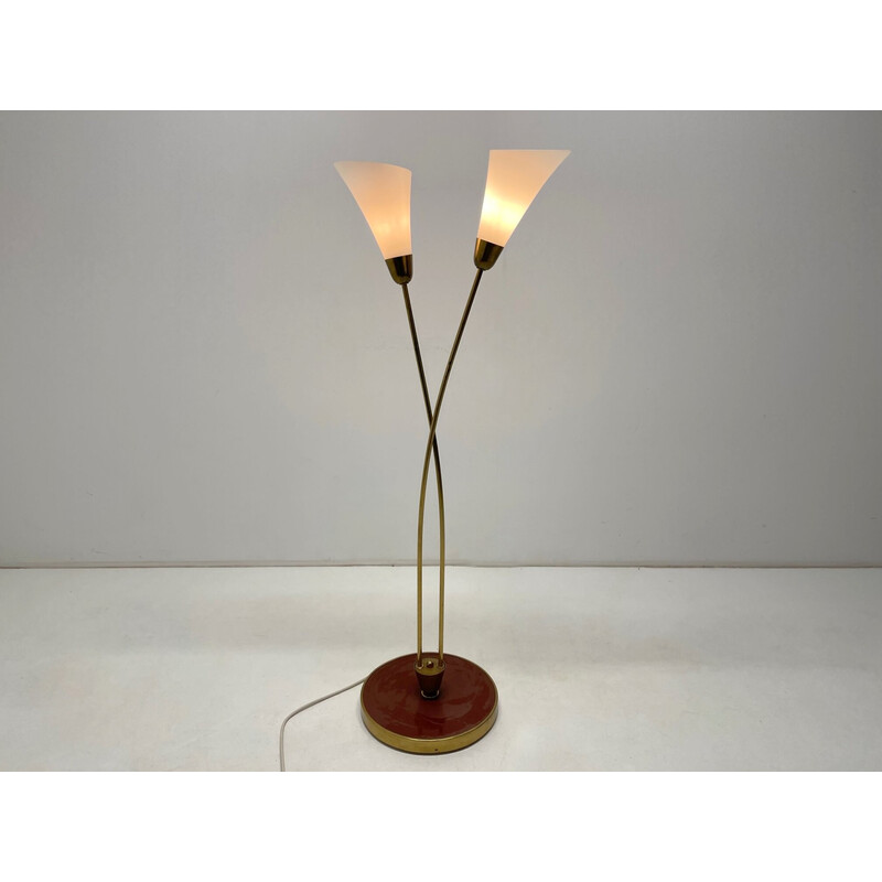 Mid century Art deco brass with patina and opaline glass floor lamp, 1930s