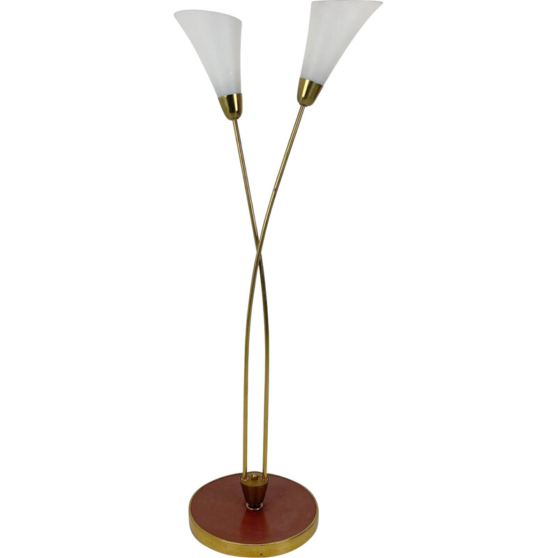 Mid century Art deco brass with patina and opaline glass floor lamp, 1930s