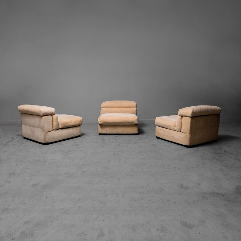 Vintage Erasmo armchair by Afra Bianchi and Tobia Scarpa for B and B, 1970s