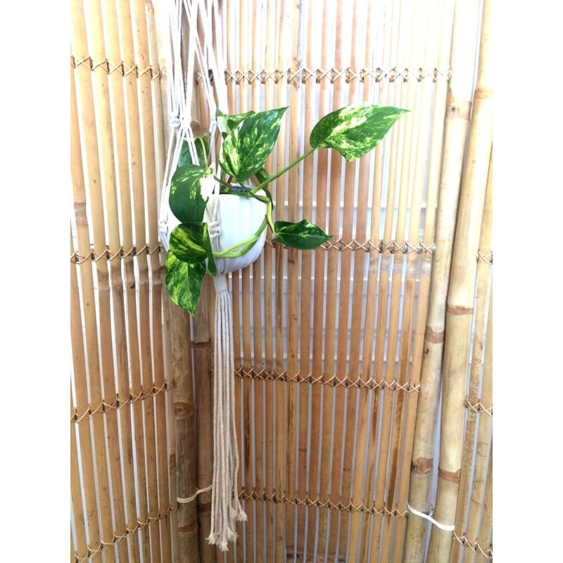 Vintage-Paravent aus Bambus mit drei Flügeln, 1960