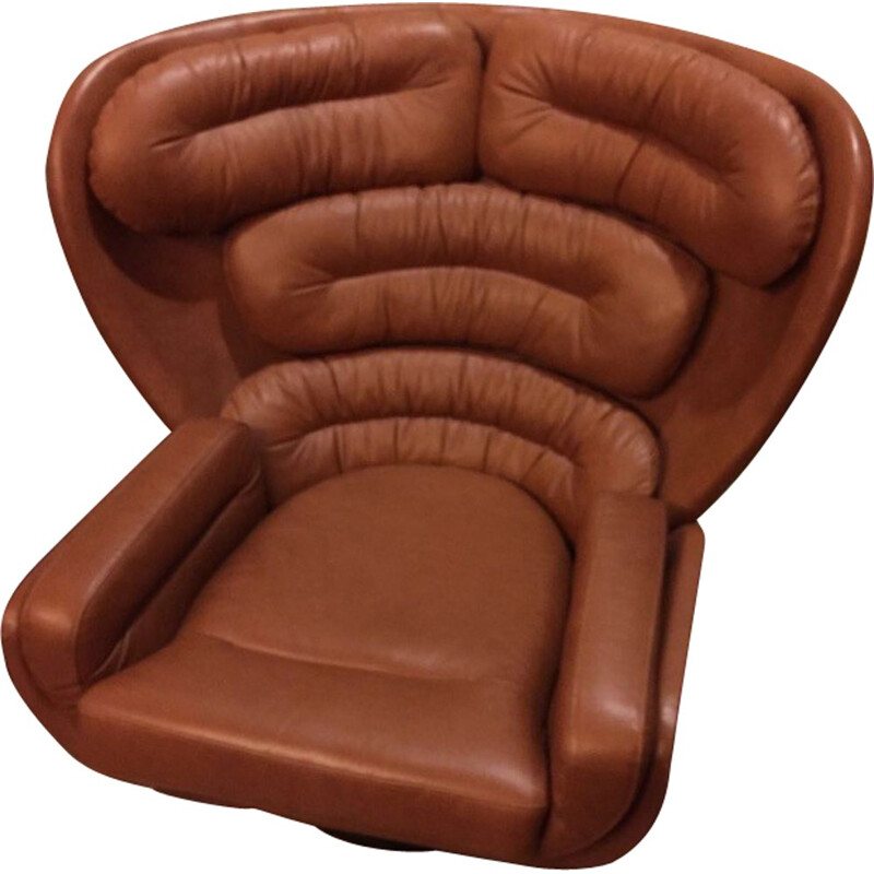 Comfort "Elda" brown leather and glass fibre armchair, Joe COLOMBO - 1960s