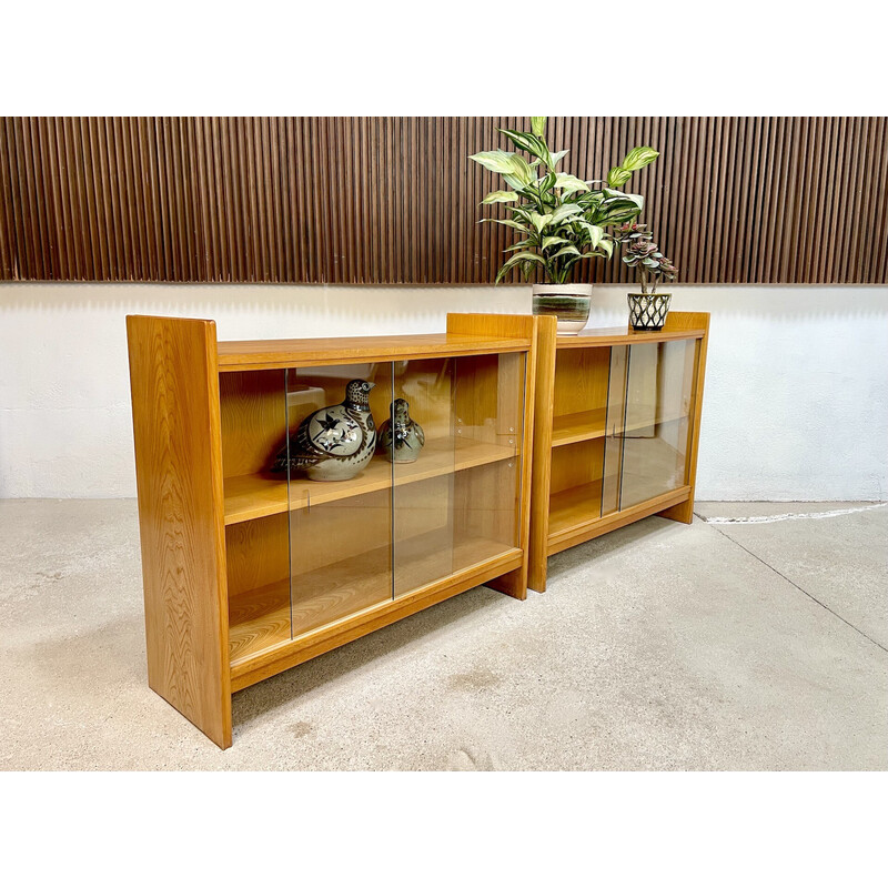 Pair of vintage German display cabinets by Deutsche Werkstätten, 1950s