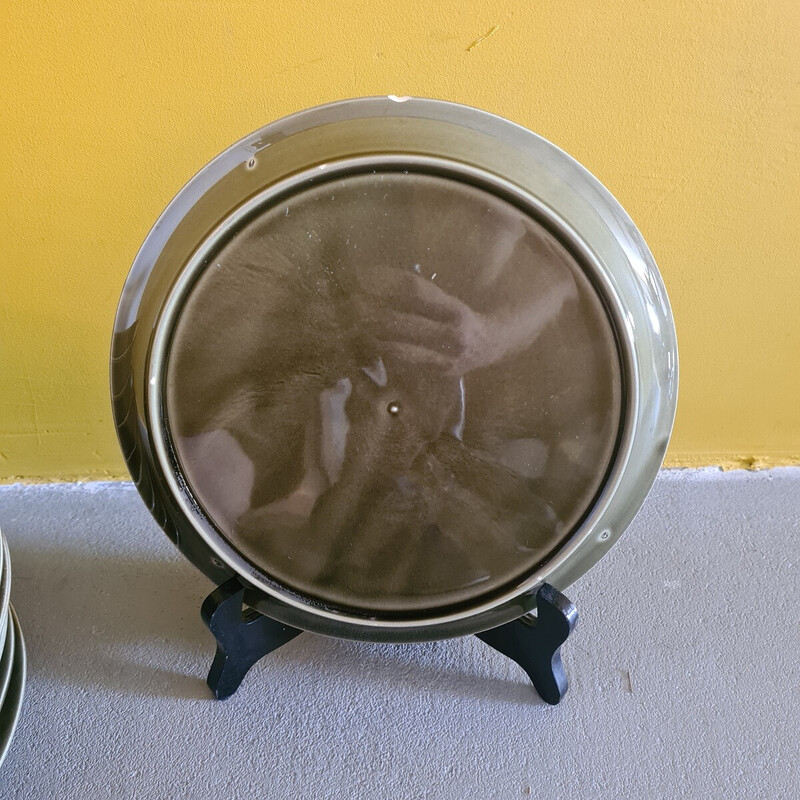 Juego de 10 platos gourmet de porcelana esmaltada de época, 1960