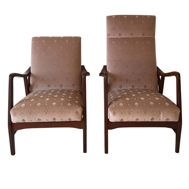 Pair of vintage teak armchairs with organic shape, Netherlands 1950