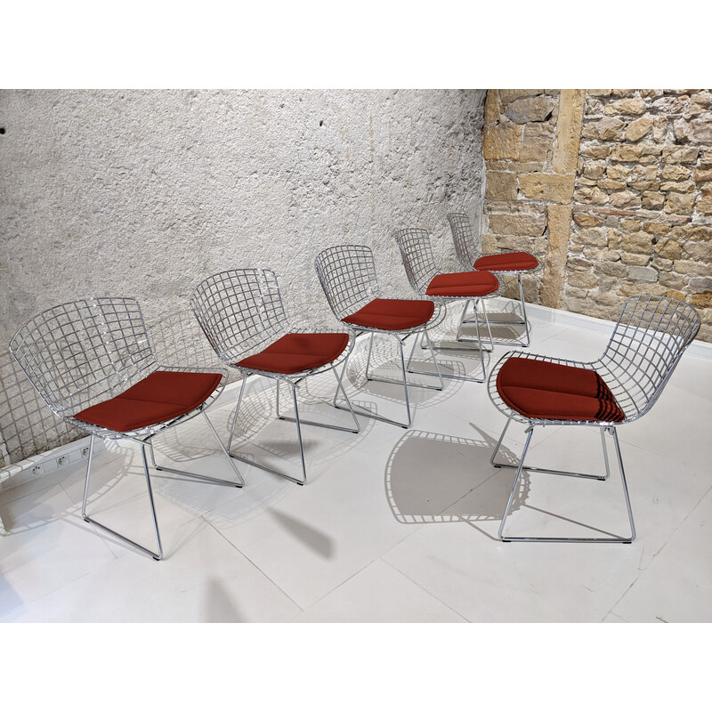 Juego de 6 sillas Bertoia vintage de Knoll, 1955