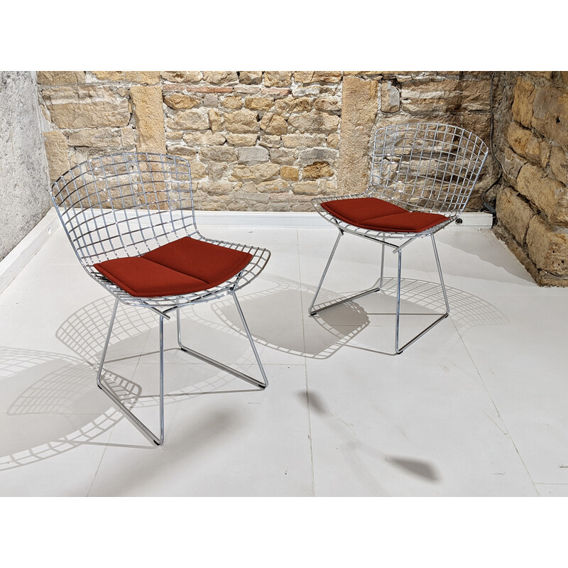 Ensemble de 6 chaises vintage Bertoia par Knoll, 1955