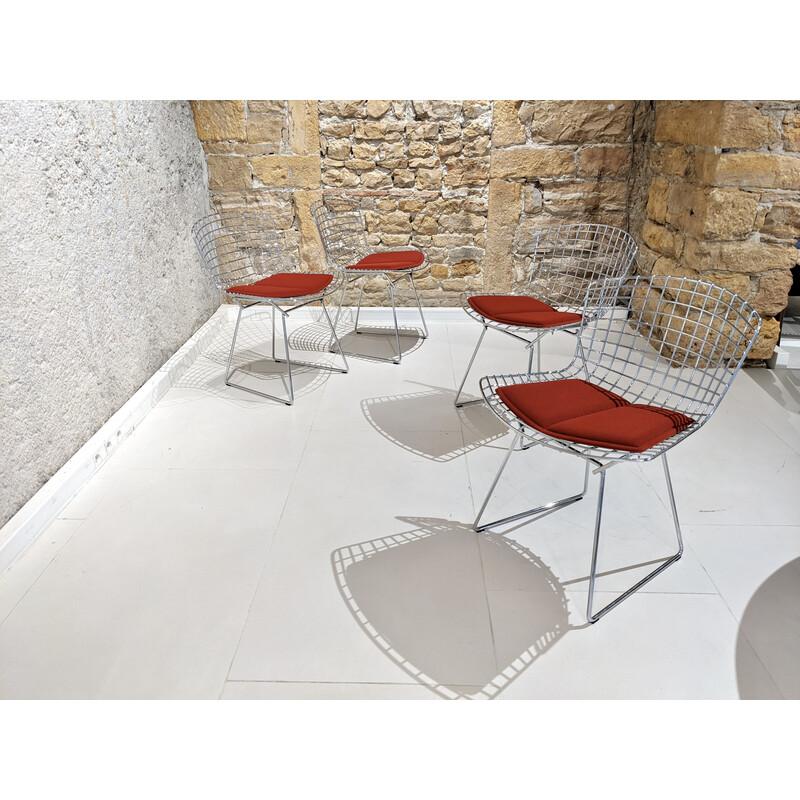 Set of 6 vintage chairs Bertoia by Knoll, 1955