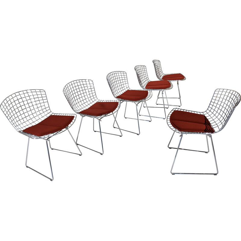 Set of 6 vintage chairs Bertoia by Knoll, 1955